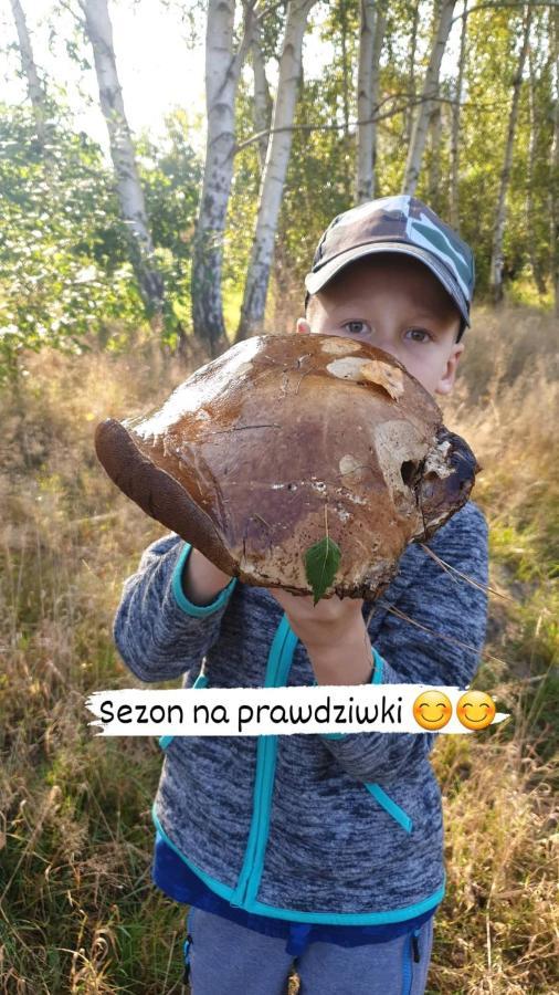 Aris Pokoje Goscinne Wojnicz Esterno foto