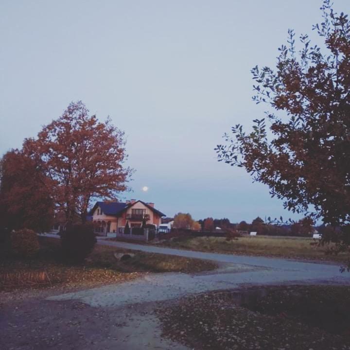 Aris Pokoje Goscinne Wojnicz Esterno foto